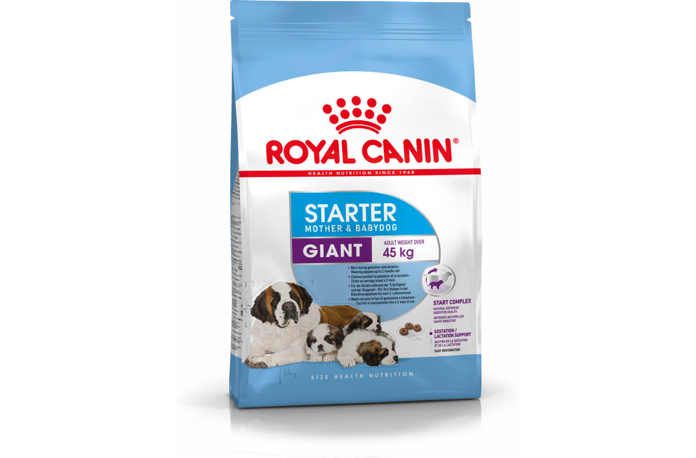 Royal Canin Maxi Starter Professional 2025 | www.yummybowl.com